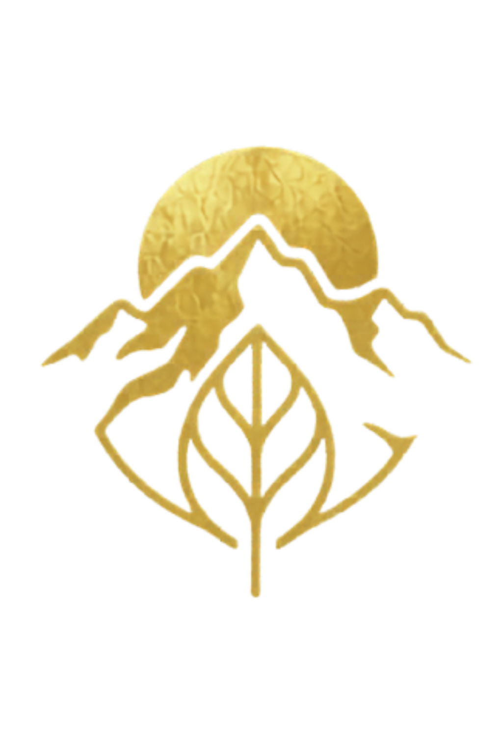 Logo Café Tabi Dorado